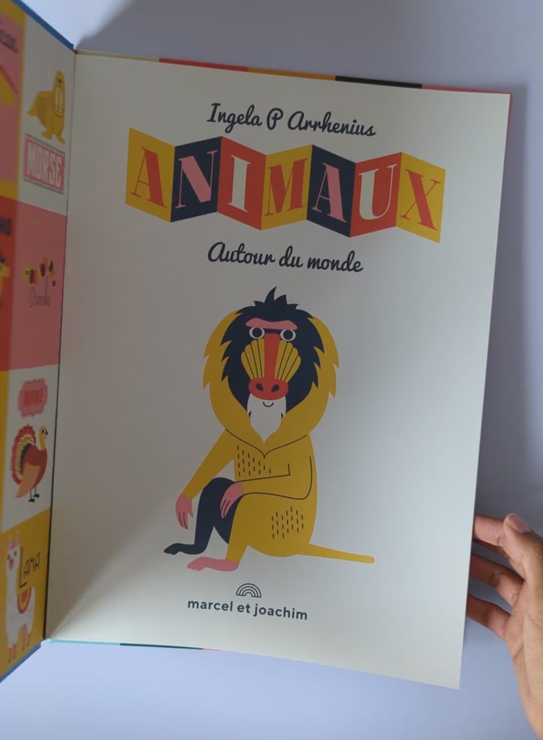 Imagier cartonné - Animaux autour du monde